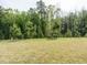 Large, grassy backyard with a lush treeline providing privacy and a natural backdrop at 253 Sweet Olive St, Clayton, NC 27527