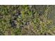 A bird's-eye view of the house, pond, and guest house surrounded by nature at 2925 Ericka Dr, Hillsborough, NC 27278