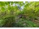Serene backyard with lush greenery, mature trees, and glimpses of a white fence and the home at 2925 Ericka Dr, Hillsborough, NC 27278