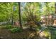 Scenic backyard view showcasing mature trees, lush foliage, and a glimpse of the home and patio at 2925 Ericka Dr, Hillsborough, NC 27278