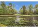 A tranquil pond view highlights this home with mature trees and a large well manicured front lawn at 2925 Ericka Dr, Hillsborough, NC 27278