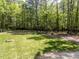 Green backyard with string lights, seating area, and mature trees at 3332 Langston Cir, Apex, NC 27539