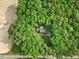 Secluded home surrounded by a lush forest canopy, providing privacy and natural beauty at 2169 Rawls Church Rd, Angier, NC 27501