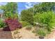 Landscaped yard featuring a variety of trees, plants, mulch, and a bird bath at 2811 Van Dyke Ave, Raleigh, NC 27607