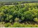 Aerial view showing the property's proximity to river and surrounding natural landscape at 2901 Horse Shoe Farm Rd, Wake Forest, NC 27587