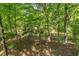 Tranquil backyard featuring lush trees and a view of a serene creek, a nature lover's dream at 2901 Horse Shoe Farm Rd, Wake Forest, NC 27587