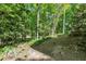 Picturesque backyard with a gentle slope leading down to a peaceful creek and lush greenery at 2901 Horse Shoe Farm Rd, Wake Forest, NC 27587