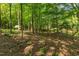 Backyard landscape featuring lush trees and serene creek views, a peaceful outdoor retreat at 2901 Horse Shoe Farm Rd, Wake Forest, NC 27587