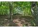 View of the exterior of the home, surrounded by lush trees and foliage on a sloping lot at 2901 Horse Shoe Farm Rd, Wake Forest, NC 27587