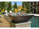 Fire bowl on a stone pedestal next to a gorgeous in-ground swimming pool at 325 Forest Bridge Rd, Youngsville, NC 27596