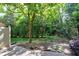 Backyard view of foliage and patio area at 419 Travertine Dr, Cary, NC 27519