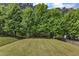 A luscious grassy backyard with a gentle slope, fence and an assortment of trees at 4727 Smarty Jones Dr, Knightdale, NC 27545