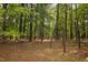 Wooded lot, partially cleared with mature trees and shrubbery at 5743 Craig Rd, Durham, NC 27712