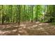 Expansive backyard with mature trees and natural foliage at 7212 Donneeford Rd, Wake Forest, NC 27587