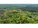 Aerial view of the property boundary, surrounded by lush green forest at 82 Deercorn Path, Moncure, NC 27559