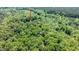 Wooded property with a visible path leading to a structure, offering privacy at 82 Deercorn Path, Moncure, NC 27559