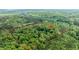 Expansive wooded lot surrounded by lush trees, offering privacy, with approximate property lines in red at 82 Deercorn Path, Moncure, NC 27559