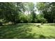 Expansive, lush backyard featuring mature trees and a play area at 1004 Greenwich St, Raleigh, NC 27610