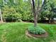 Manicured backyard with lush greenery and a ringed garden bed with landscaping, providing a serene and inviting outdoor space at 101 Worsham Dr, Chapel Hill, NC 27516