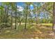 Overhead view of spacious wooded backyard at 1913 Wild Dunes Dr, Raleigh, NC 27604