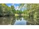 Scenic view of a tranquil pond surrounded by lush greenery and trees at 1913 Wild Dunes Dr, Raleigh, NC 27604