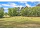 Expansive open yard area featuring geese in a park-like setting at 1913 Wild Dunes Dr, Raleigh, NC 27604