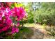 Flowering azalea bush along a stone walking path in the wooded lot at 201 Summergate Cir, Chapel Hill, NC 27516
