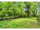 Green lush backyard with mature trees and healthy ground cover for added privacy at 2733 Thelma St, Durham, NC 27704