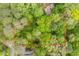 Aerial view of a wooded lot with a red boundary line at 4120 Picardy Dr, Raleigh, NC 27612