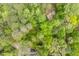 Aerial view of a wooded lot with a white boundary line at 4120 Picardy Dr, Raleigh, NC 27612