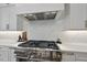 Kitchen showcases sleek countertops, stainless steel gas range and hood, and modern cabinetry at 4139 Rockingham Dr, Raleigh, NC 27609