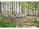 Picturesque backyard featuring vibrant azaleas and lush greenery in a serene, wooded setting at 449 Hill Rd, Franklinton, NC 27525