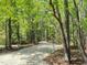 Gravel driveway through a lush, green forest landscape offering privacy and a scenic entrance to the property at 4793 Overhills Rd, Spring Lake, NC 28390