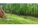 Lush backyard featuring mature trees, green lawn, and a natural wooded backdrop at 6204 Silver Spring Ct, Willow Springs, NC 27592