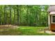 Picturesque backyard showing mature trees, green lawn, and private wooded area at 6204 Silver Spring Ct, Willow Springs, NC 27592
