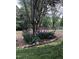 Beautiful flower bed with purple irises and unique tree providing natural beauty to the garden at 9301 Brookton Ct, Raleigh, NC 27615