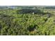 Scenic aerial shot of wooded property with lake visible in the distance and a water tower at 118 Chanute Cir, Louisburg, NC 27549