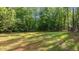 Expansive backyard offering ample space for recreation and outdoor activities at 118 Chanute Cir, Louisburg, NC 27549