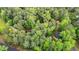 An aerial view of a home nestled among the lush green trees at 121 Ladybug Ln, Chapel Hill, NC 27516
