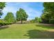 Spacious backyard featuring a well-manicured lawn, mature trees, and an iron fence at 220 Lakecroft Pl, Fuquay Varina, NC 27526