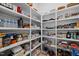 Well-organized pantry with shelving filled with dishes, bottles, and storage containers at 30 Futrell Ridge Ct, Chapel Hill, NC 27517