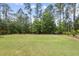 Expansive backyard with lush green lawn and mature trees providing shade and privacy at 449 Sandy Whispers Pl, Cary, NC 27519