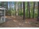 Lush backyard featuring mature trees providing shade and a natural setting at 4500 Hollirose Pl, Raleigh, NC 27616