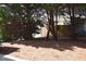 Backyard with mature trees and landscaping, offering privacy and natural beauty at 8511 Bright Loop, Raleigh, NC 27613