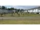 Street view of homes features a grassy median with young trees and lush landscaping at 106 S Chubb Rdg, Wilson's Mills, NC 27520