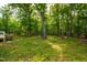 Lush backyard with towering trees creating a private and serene setting at 1915 Redding Ln, Durham, NC 27712