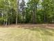 Expansive backyard featuring lush trees that offer privacy and a sense of natural serenity at 40 Ridgeline Ct # 10, Pittsboro, NC 27312