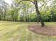Spacious yard with lush greenery, mature trees, and well-maintained lawn at 40 Ridgeline Ct # 10, Pittsboro, NC 27312