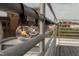 Close-up of string lights on a rooftop deck, creating a warm and inviting ambiance at 101 Morris St # D, Durham, NC 27701