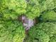 Stunning aerial view of the property surrounded by mature trees and lush greenery at 106 Birkhaven Dr, Cary, NC 27518